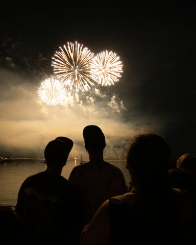 Crowd watching waterfront fireworks