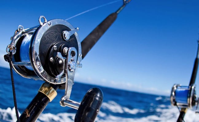 Sandestin Fishing Charters on Choctawhatchee Bay